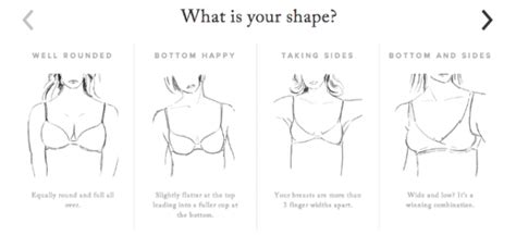 perky breasts meaning|There Are 8 Types of Nipples in the World